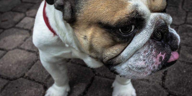 地铁钢轨波磨：城市轨道交通的隐形“杀手”与降噪减振的关键