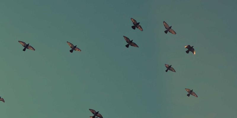 智慧赋能，安全随行：地铁网络化时代如何用智能排班守护驾驶员的精力与城市动脉的安全